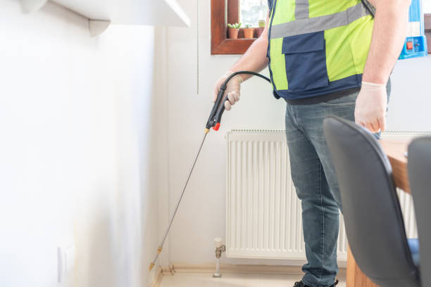 Best Local Pest Control Services  in Henryetta, OK
